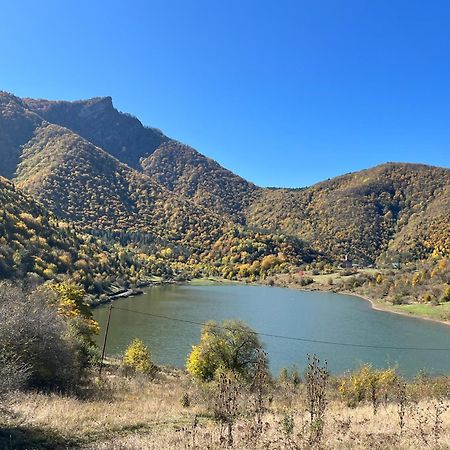 Gvirilas Sakhli Guest House Khashuri Екстериор снимка