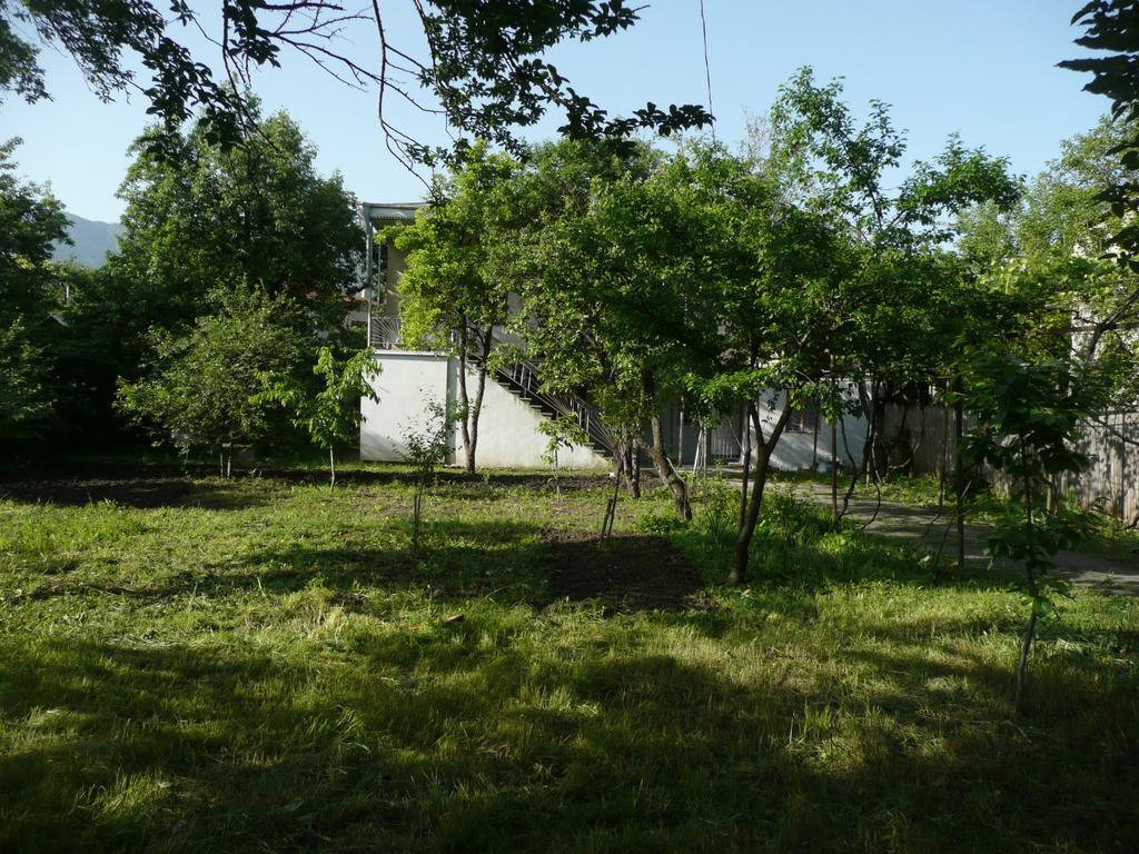 Gvirilas Sakhli Guest House Khashuri Екстериор снимка